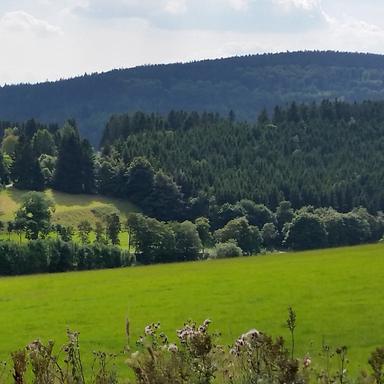 Vorschau von Tierärztliche Praxis für Groß- und Kleintiere Carolin Stolpe
