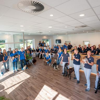 Preview of Kleintierzentrum Greven - Tierärzte IVC Evidensia GmbH