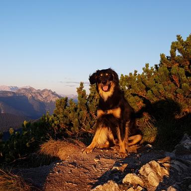 Preview of Tierarztpraxis Jobsky