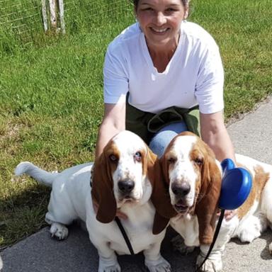 Vorschau von Dr. med. vet. Regina Bechstein-Walther Tierarztpraxis