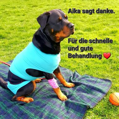 Vorschau von Tierarztpraxis Wirbelvet Mareike Unverricht