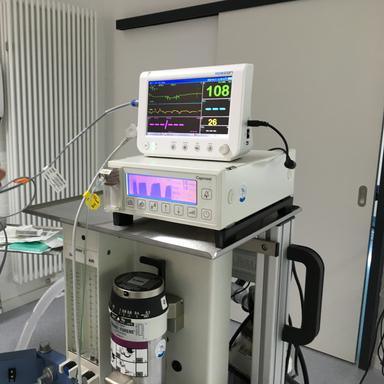Vorschau von Kompetenzzentrum Kleintiermedizin Dr. Valeska Furck