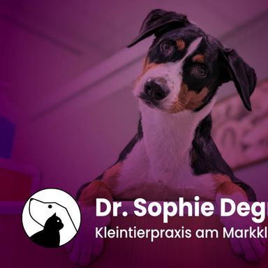 Vorschau von Dr. Sophie Degner - Kleintierpraxis am Markkleeberger See