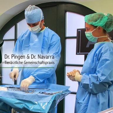 Preview of Tierarztpraxis Pingen Navarra