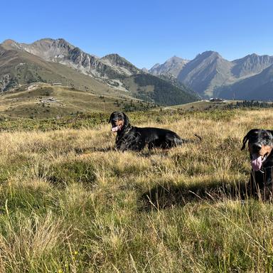 Vorschau von Tierärztliche Gemeinschaftspraxis Dr. Olaf Behlert und Dr. Katja Teschner