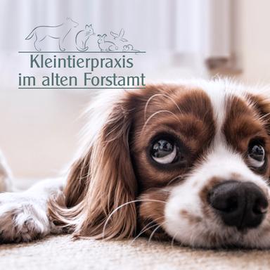 Vorschau von Kleintierpraxis im alten Forstamt
