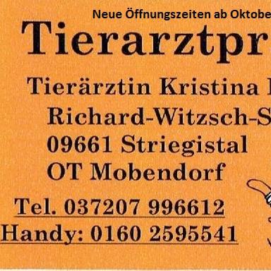 Vorschau von Kristina Küttner