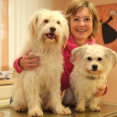 Vorschau von Dr.med.vet. Susanne Kratz