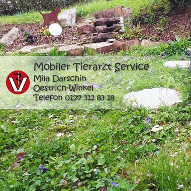 Vorschau von Tierzentrum Rheingau - Mila Darschin