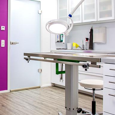 Vorschau von Kleintierpraxis Dr. med.vet. Evelyn Philipp