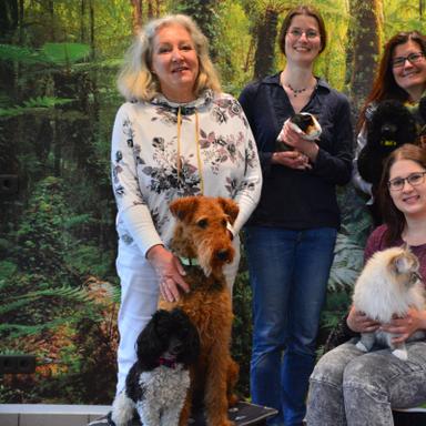 Vorschau von Tierarztpraxis Reiners