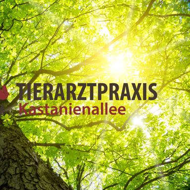 Preview of Tierarztpraxis Kastanienallee