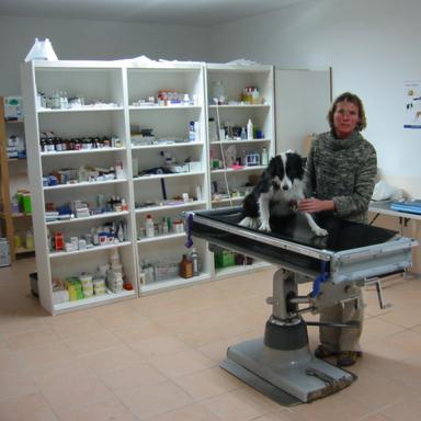 Preview of Tierarztpraxis Corina Morasch