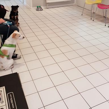 Vorschau von Kleintierpraxis Dr. Sieme & Kätzel