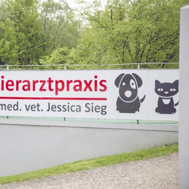 Vorschau von Tierarztpraxis Dr. Jessica Sieg -Fachtierärztin für Kleintiere