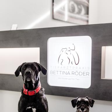 Vorschau von Tierarztpraxis Bettina Röder