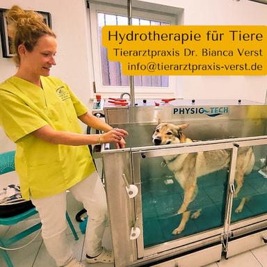 Preview of Tierarztpraxis Verst - Dr. Bianca Verst praktische Tierärztin & Augenspezialistin für Tiere