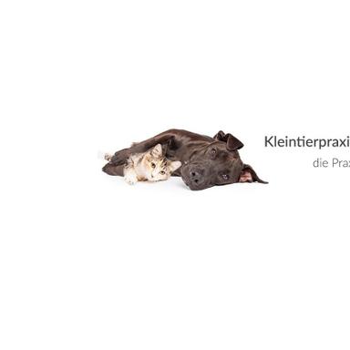 Vorschau von Kleintierpraxis Haberkern - Fachtierärzte im Raum Heilbronn und Neckarsulm
