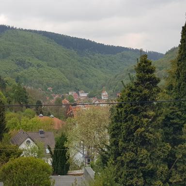Vorschau von Corinett Gössel Tierärztin