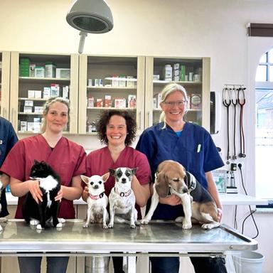 Vorschau von Tierarztpraxis Kellinghusen - DVM B. Düvier