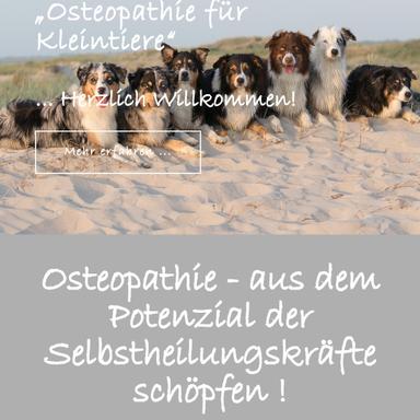 Vorschau von Tierarztpraxis Antje Brendel #Osteopathie #Homöopathie #Phytoptherapie #Tönning #Garding #SPO #Eiderstedt #Nordfriesland