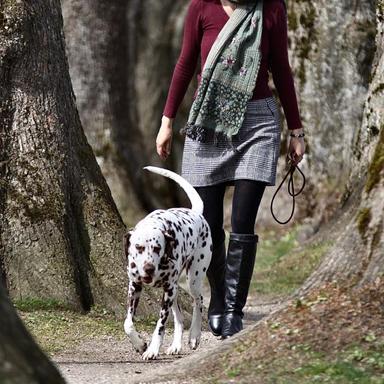 Vorschau von Ailer Marion Dr. med. vet. Tierarzt