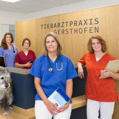 Vorschau von Dr. Sabine Lentz - Tierarztpraxis Gersthofen
