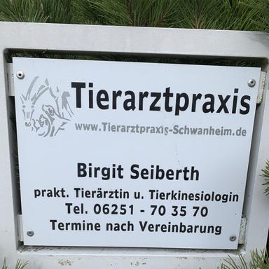 Preview of Birgit Seiberth