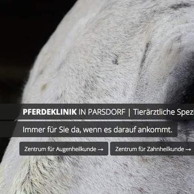 Vorschau von Pferdeklinik in Parsdorf GmbH | Klinik für Pferde | München