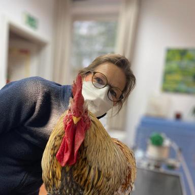 Vorschau von Praxis für Kleintiere Dr. Katja Taubhorn
