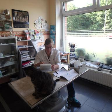 Preview of Dr.med.vet. Veronika Madeiczyk Kleintierpraxis