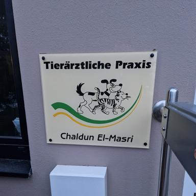 Preview of Chaldun El-Masri