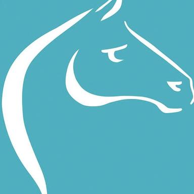 Vorschau von Pferdepraxis Moreis