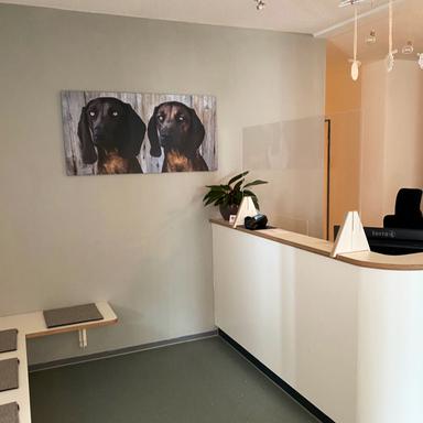 Vorschau von Dr.med.vet. Birkenmaier