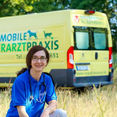 Vorschau von Mobile Tierarztpraxis Dr. Franziska Gronau