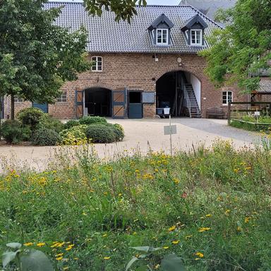 Preview of Pferdeklinik Burg Müggenhausen GmbH