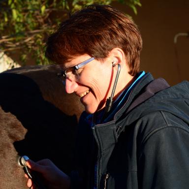 Vorschau von Tierarztpraxis Dr. Maren Franke