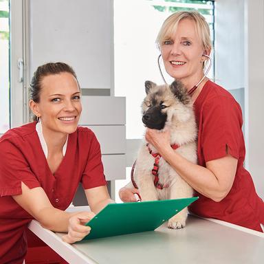 Vorschau von Tierärzte-Team Dreieich GmbH