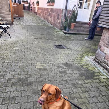 Preview of Tierklinik am Scheibenberg
