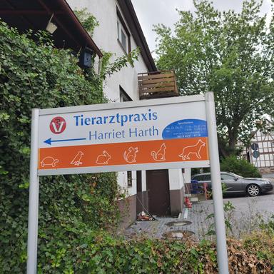 Preview of Harriet Harth Tierarzt