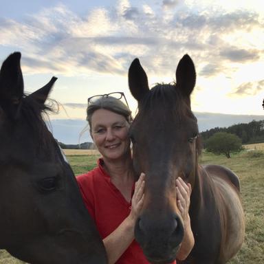 Vorschau von Dr. med. vet. Gabriele Kisters, ambulante Pferdepraxis