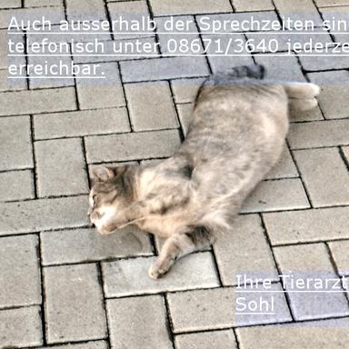 Vorschau von Tierarztpraxis Robert Sohl