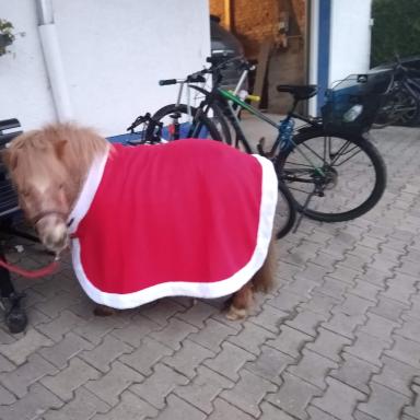 Vorschau von Tierarztpraxis Hannah Schneider