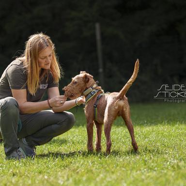 Vorschau von Hundeschule & Praxis für Verhaltensmedizin Dr. Sandra Bruns