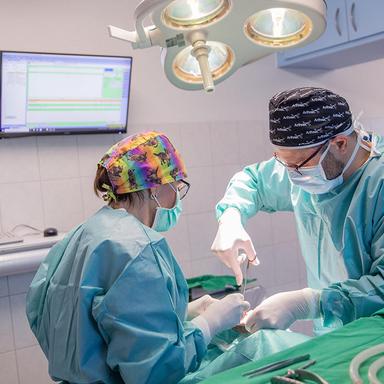 Preview of Kleintierzentrum am Schmelzbach Fachpraxis für Kleintiermedizin