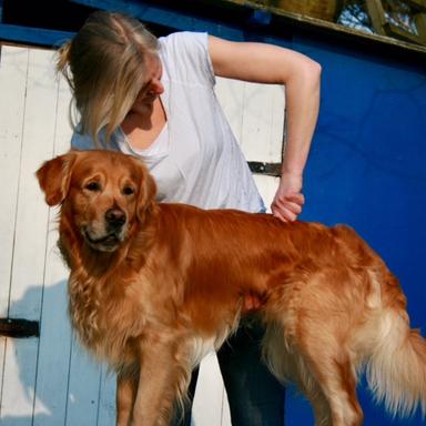 Vorschau von Daniela Heinemann - Chiropraktik für Hunde