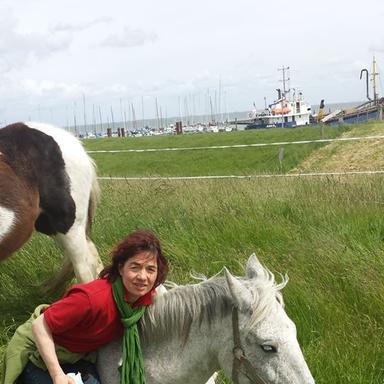 Preview of Tierarztpraxis Janine Bahr- van Gemmert