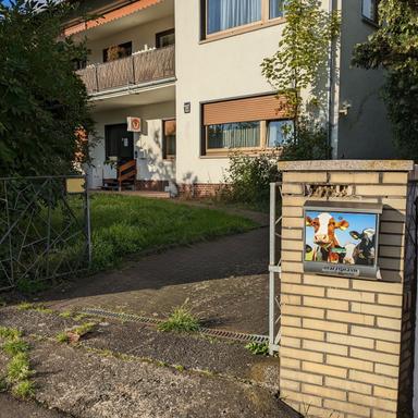 Vorschau von Ruth Hockerts-Höchst Praktische Tierärztin