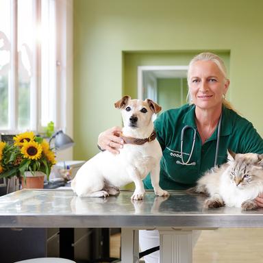 Vorschau von Dr.med.vet. Alexia Plochmann Tierärztin