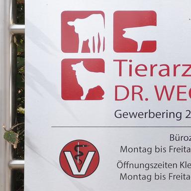 Preview of Tierarztpraxis Dr. Ludger Wegmann